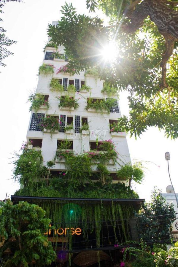 Seahorse Tropical Apartment Da Nang Luaran gambar